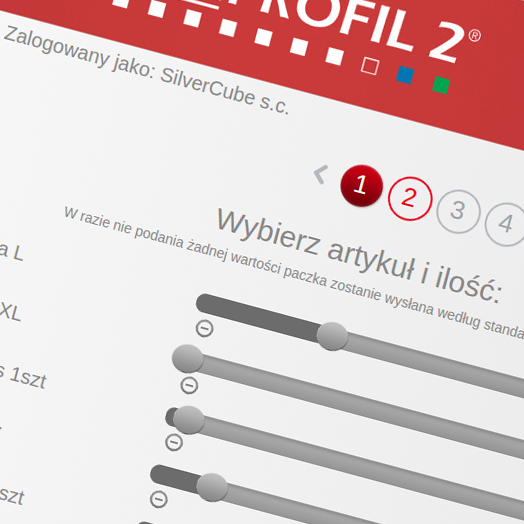 Blachprofil2 Blachprofil2